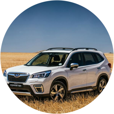 Отзывы на ремонт Ремонт, покраска, замена крыши автомобиля Subaru Forester