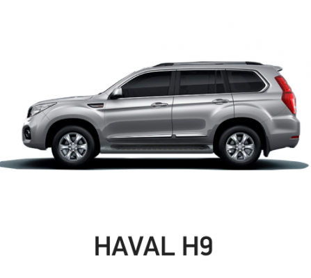 Отзывы на ремонт Ремонт, покраска, замена дверей Haval H9